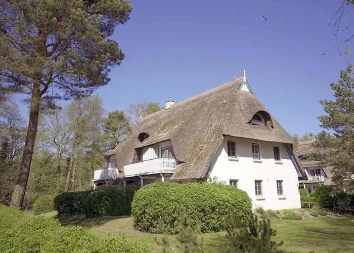 Apartamento Achtern Diek 8a - 5 Zingst